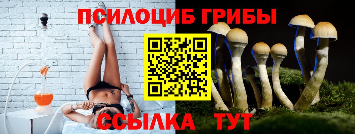 Галлюциногенные грибы ЛСД Красноперекопск