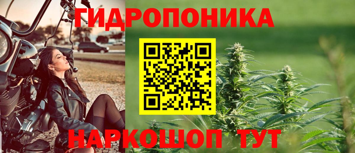Канабис Bruce Banner  Марихуана тримм  Конопля White Widow  Красноперекопск  Конопля Ganja  Вход с VPN 